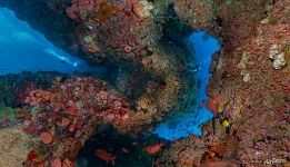 Underwater World