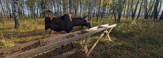 National Park Losiny Ostrov