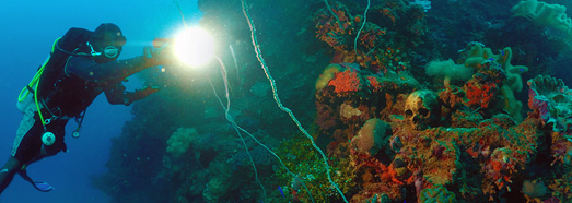 Ship Cemetery in Truk Lagoon, Micronesia