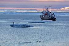 Polar Pioneer expedition ship #8