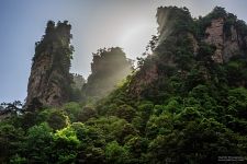 Zhangjiajie National Forest Park #8 Zhangjiajie National Forest Park #8