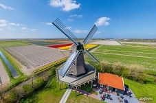 Windmill among the tulip fields Windmill among the tulip fields