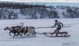 Reindeer Herder’s Day Reindeer Herder’s Day