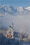 Neuschwanstein Catle in the winter #6