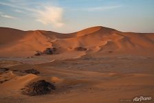 Sahara landscape Sahara landscape