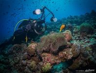 Underwater shooting