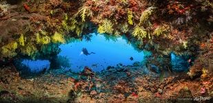 Southern Maldives. Fotteyo underwater overhangs (Hurahu Kandu)