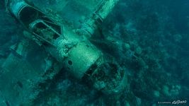 Jake Seaplane wreck