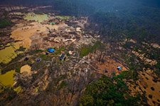 Venezuela, surroundings Angel Falls, Gold-field Venezuela, surroundings Angel Falls, Gold-field