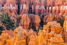 Bryce Canyon #12